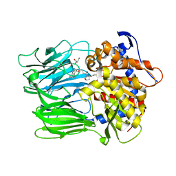 BU of 6jci by Molmil