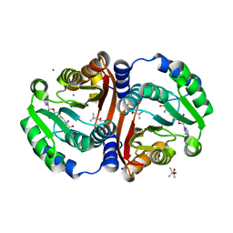 BU of 6jcl by Molmil