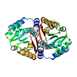 BU of 6jcm by Molmil