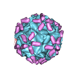 BU of 6jcs by Molmil