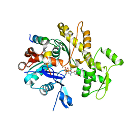 BU of 6jcu by Molmil