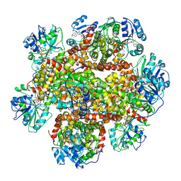 BU of 6jd1 by Molmil