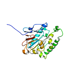 BU of 6jd4 by Molmil