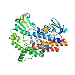 BU of 6jdk by Molmil