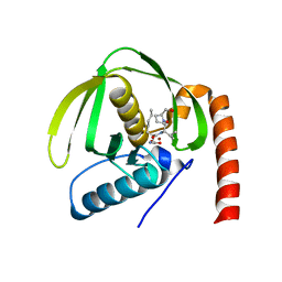 BU of 6jet by Molmil