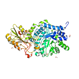 BU of 6jgp by Molmil