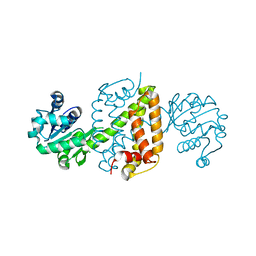 BU of 6jit by Molmil