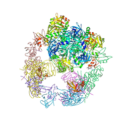 BU of 6jjo by Molmil