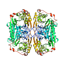 BU of 6jkw by Molmil