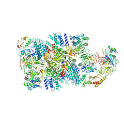 AU of 6jlx by Molmil