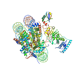 BU of 6jma by Molmil