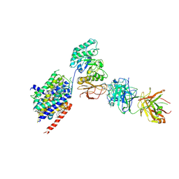 BU of 6jmq by Molmil