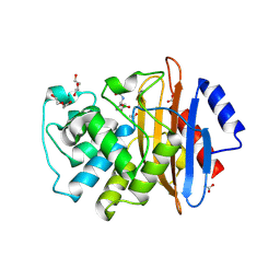 BU of 6jn4 by Molmil