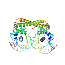 BU of 6jni by Molmil