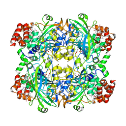 BU of 6jnu by Molmil