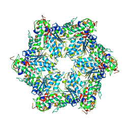 BU of 6jpu by Molmil