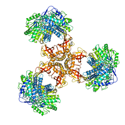 BU of 6jql by Molmil