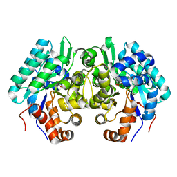 BU of 6jqx by Molmil