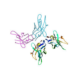 BU of 6jri by Molmil