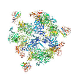 BU of 6jsi by Molmil