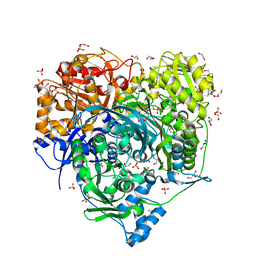 BU of 6jta by Molmil