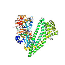 BU of 6jtc by Molmil