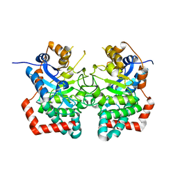 BU of 6jti by Molmil