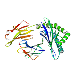 BU of 6jtp by Molmil