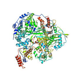 AU of 6ju2 by Molmil