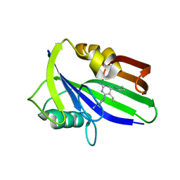 BU of 6jvl by Molmil