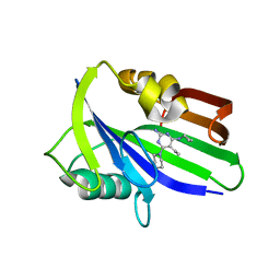 BU of 6jvm by Molmil