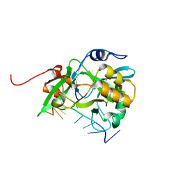 AU of 6kbs by Molmil