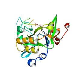 BU of 6kbx by Molmil