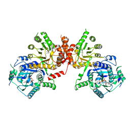 BU of 6kcl by Molmil