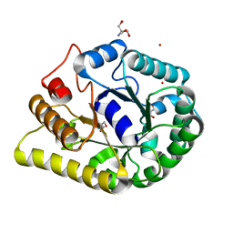 BU of 6kdd by Molmil