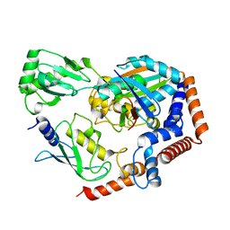 BU of 6kfp by Molmil