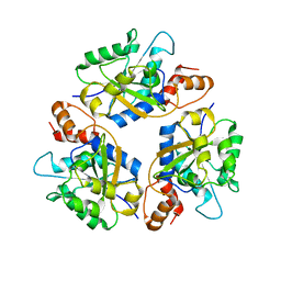 BU of 6kg3 by Molmil