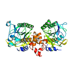 AU of 6khw by Molmil