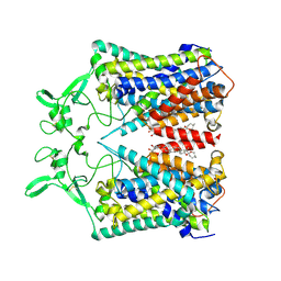 BU of 6kkr by Molmil