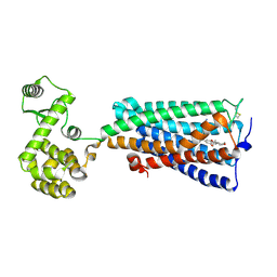 BU of 6kpc by Molmil