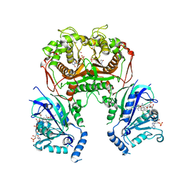 BU of 6kpr by Molmil