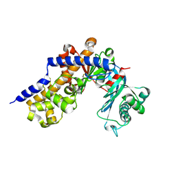 BU of 6ksr by Molmil