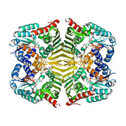 BU of 6ktl by Molmil