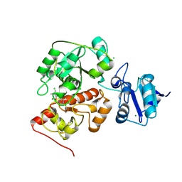 BU of 6ku1 by Molmil