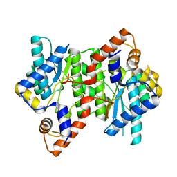 BU of 6kv3 by Molmil