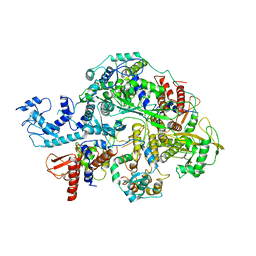 BU of 6kv5 by Molmil