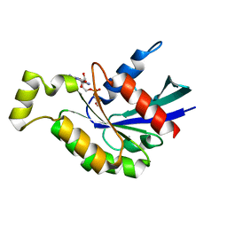 BU of 6kx2 by Molmil