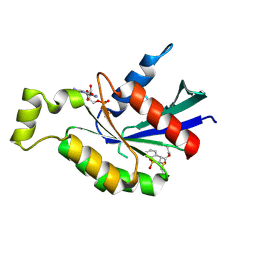 BU of 6kx3 by Molmil