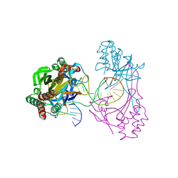 BU of 6l2o by Molmil