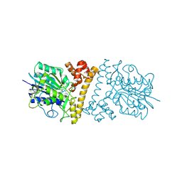 BU of 6l4x by Molmil